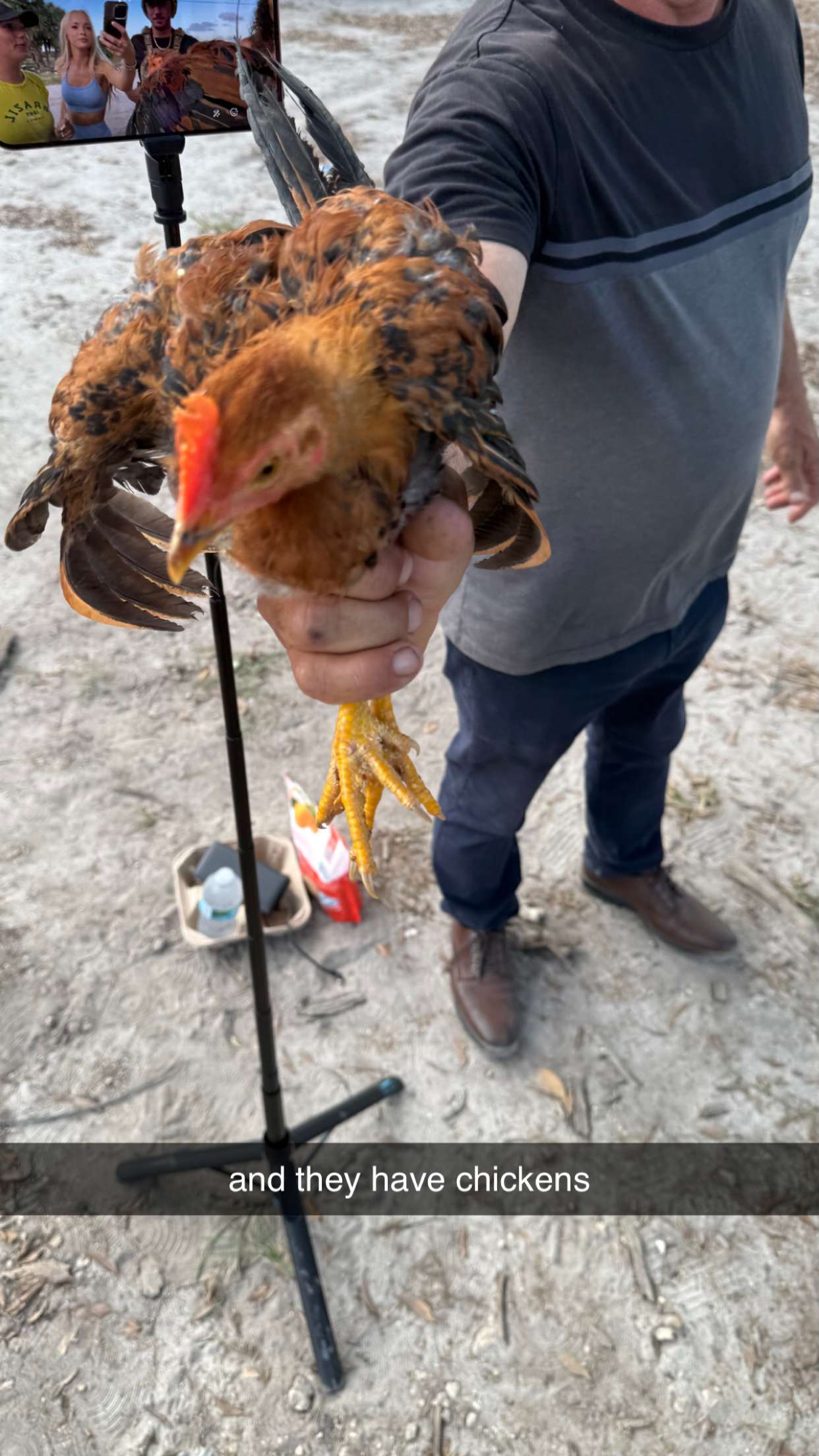 julia.filippo snapchat image archive image