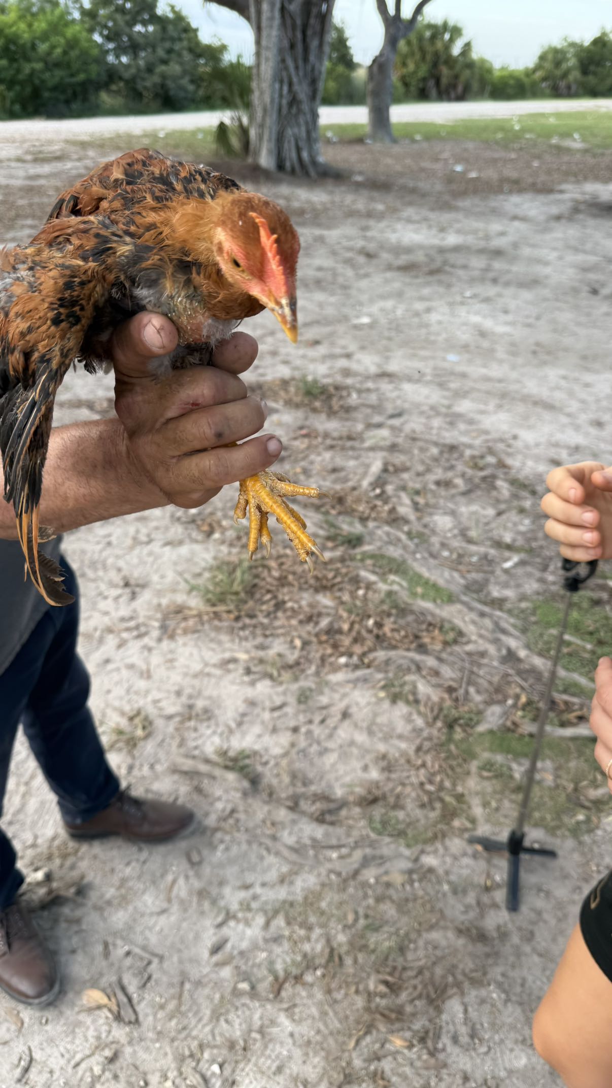 julia.filippo snapchat image archive image