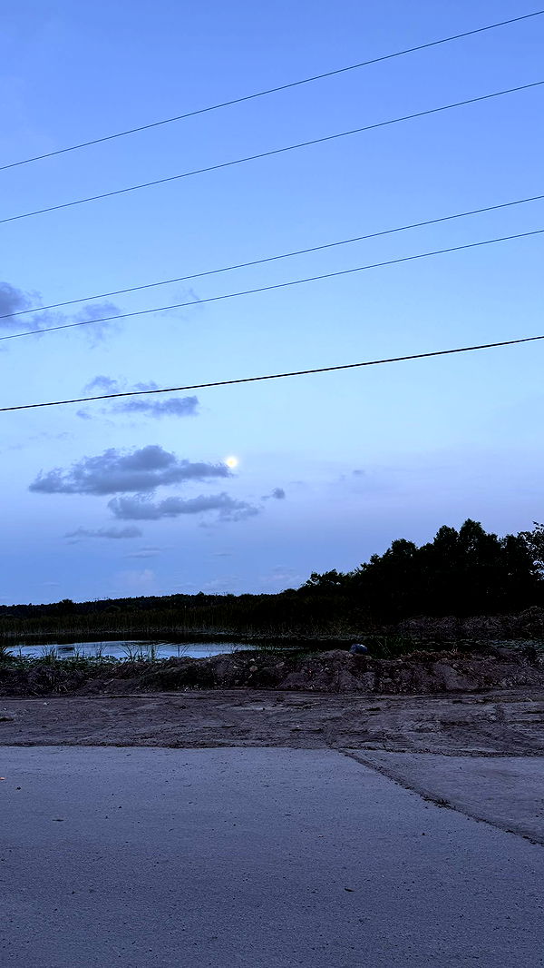 julia.filippo image ~ Altpins