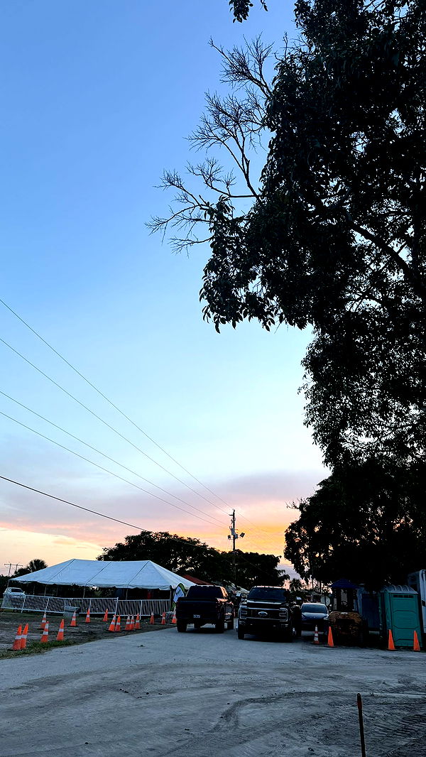 julia.filippo image ~ Altpins