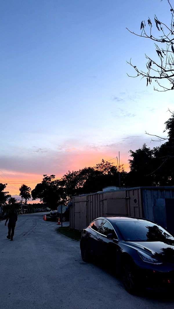 julia.filippo image ~ Altpins