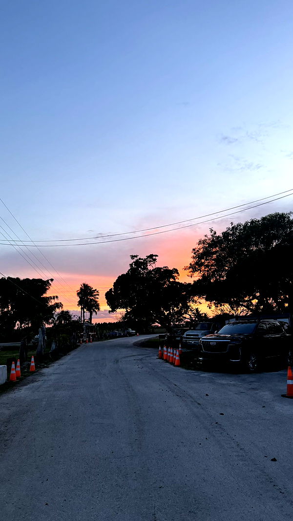 julia.filippo image ~ Altpins