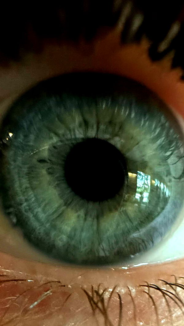 julia.filippo image ~ Altpins