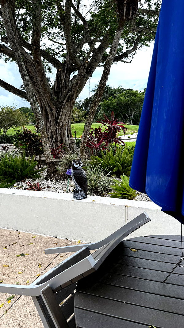 julia.filippo image ~ Altpins