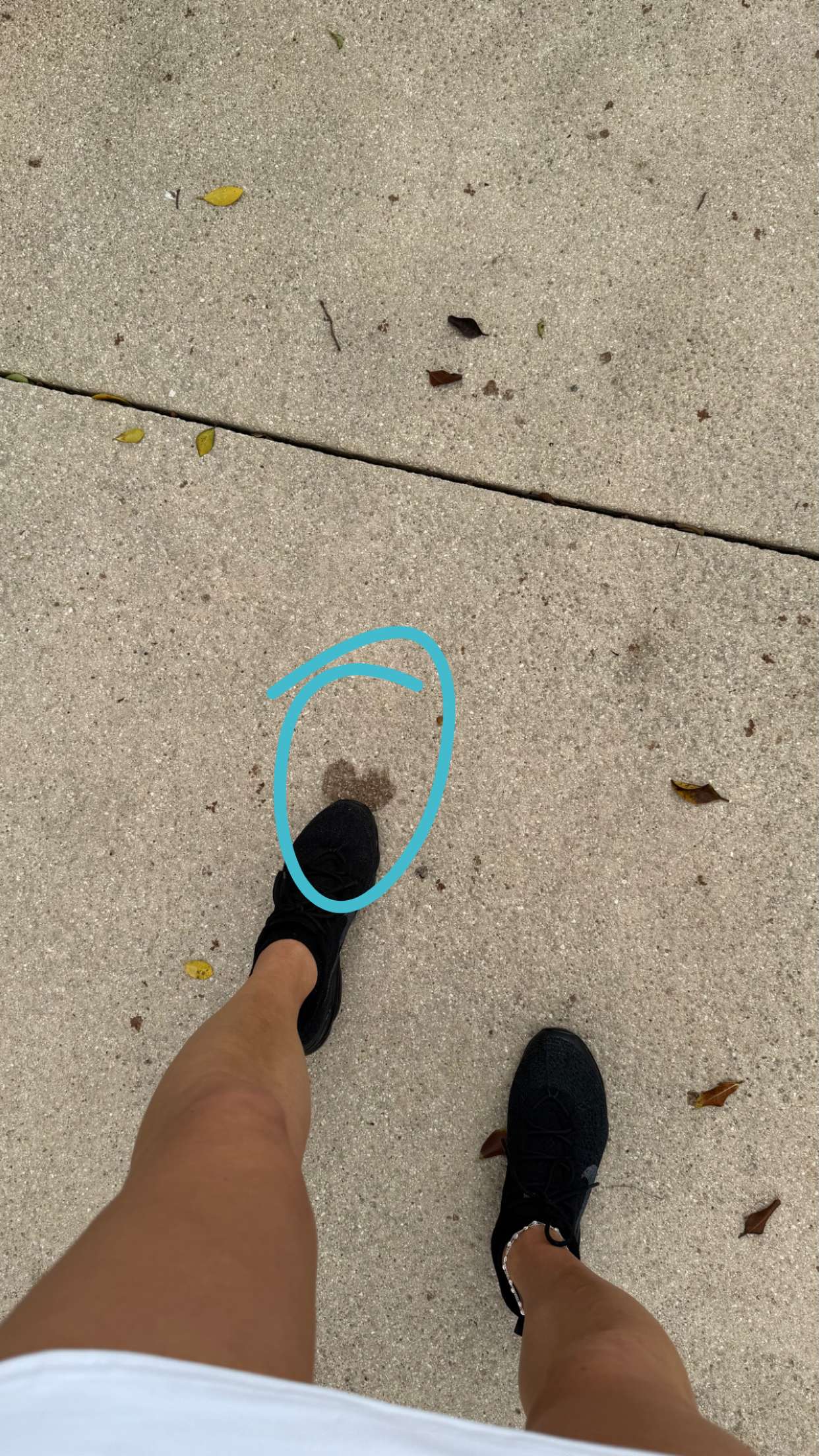 julia.filippo snapchat image archive image