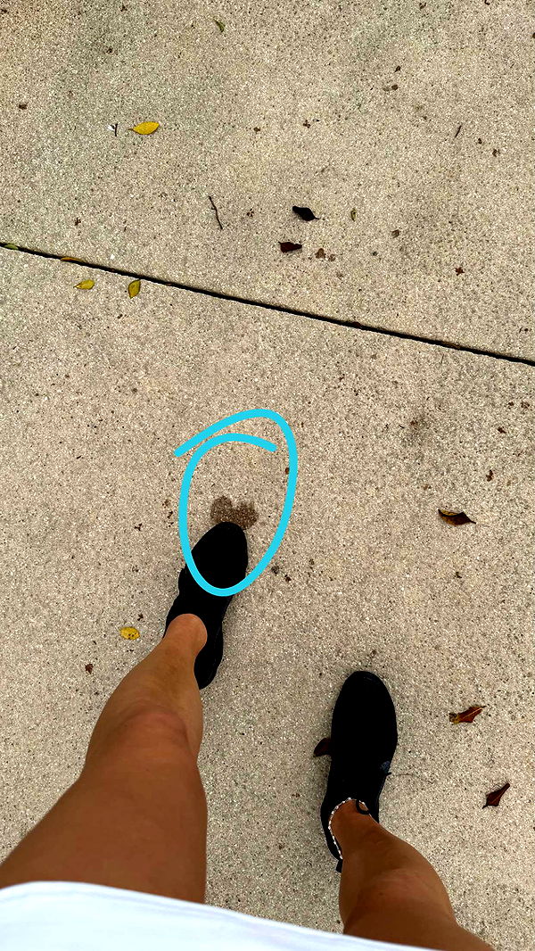 julia.filippo image ~ Altpins