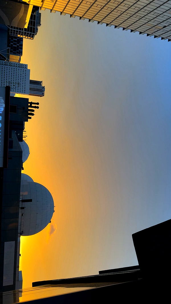 julia.filippo image ~ Altpins