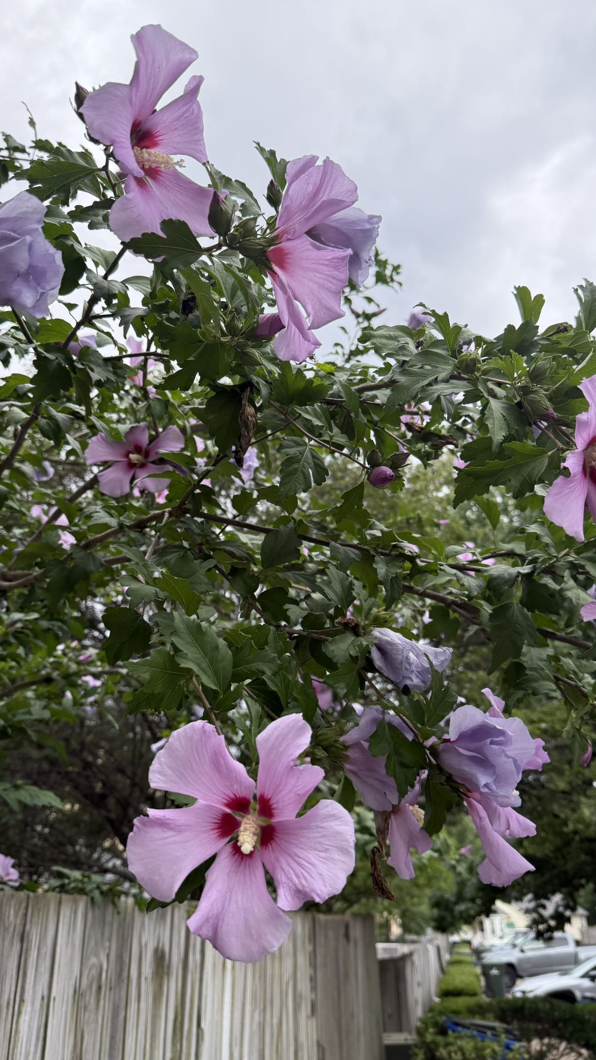 julia.filippo snapchat image archive image