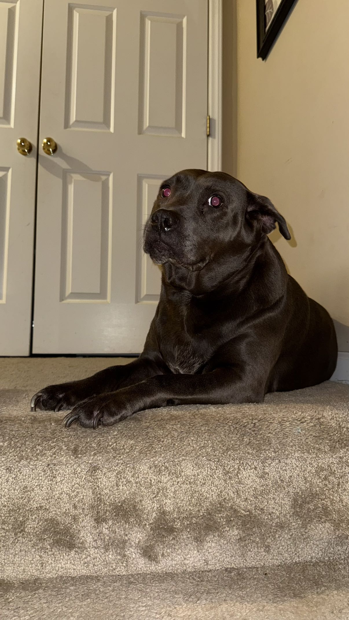 julia.filippo snapchat image archive image