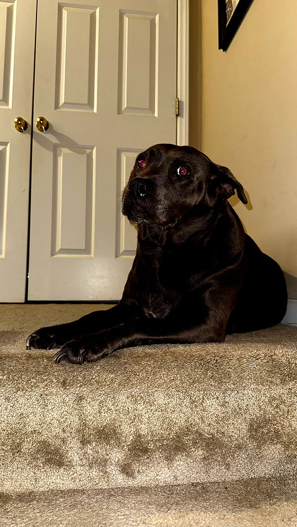 julia.filippo image ~ Altpins