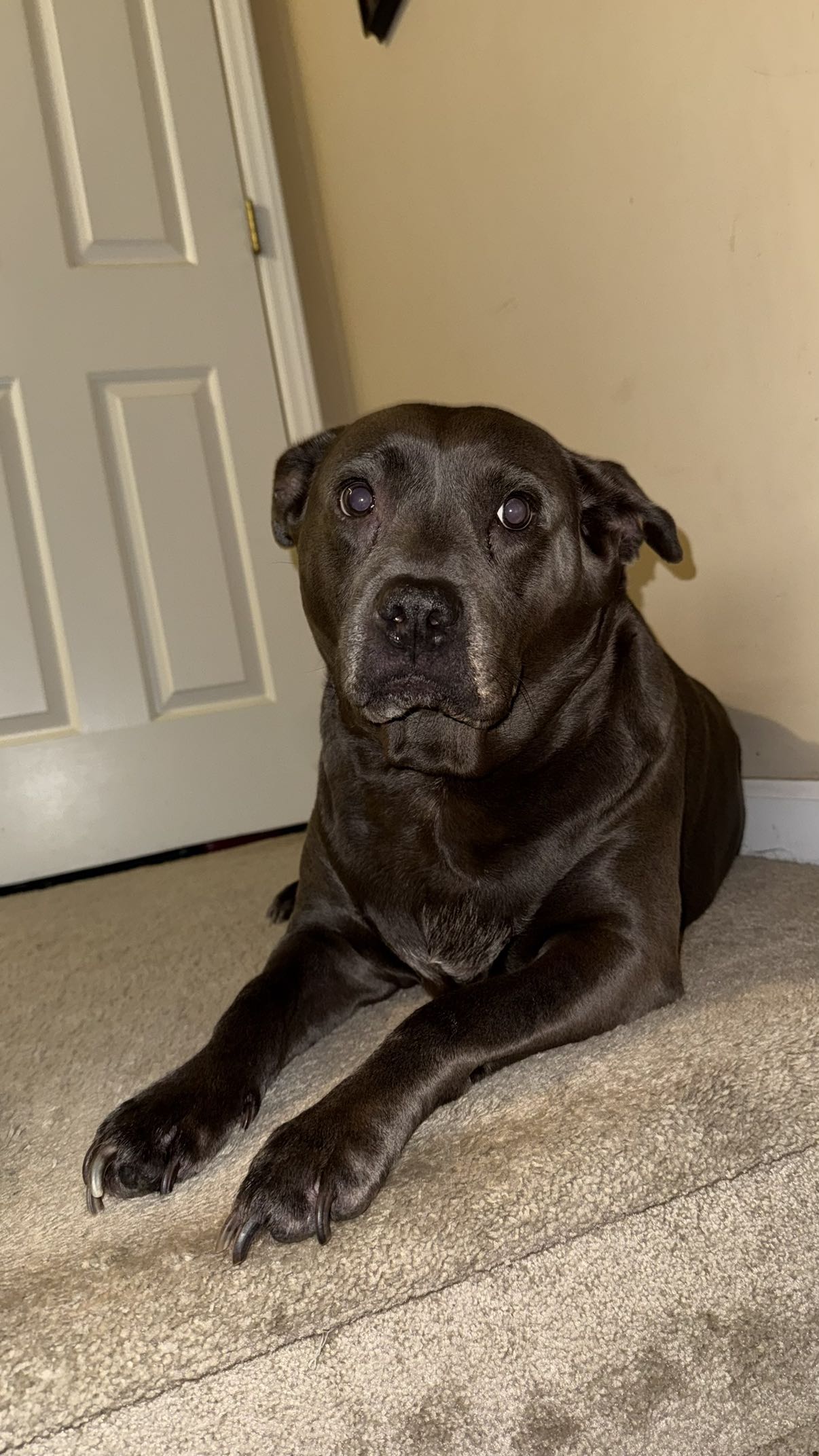 julia.filippo snapchat image archive image