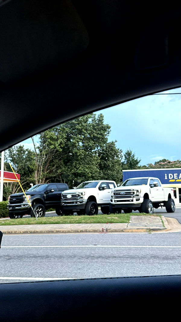 julia.filippo image ~ Altpins