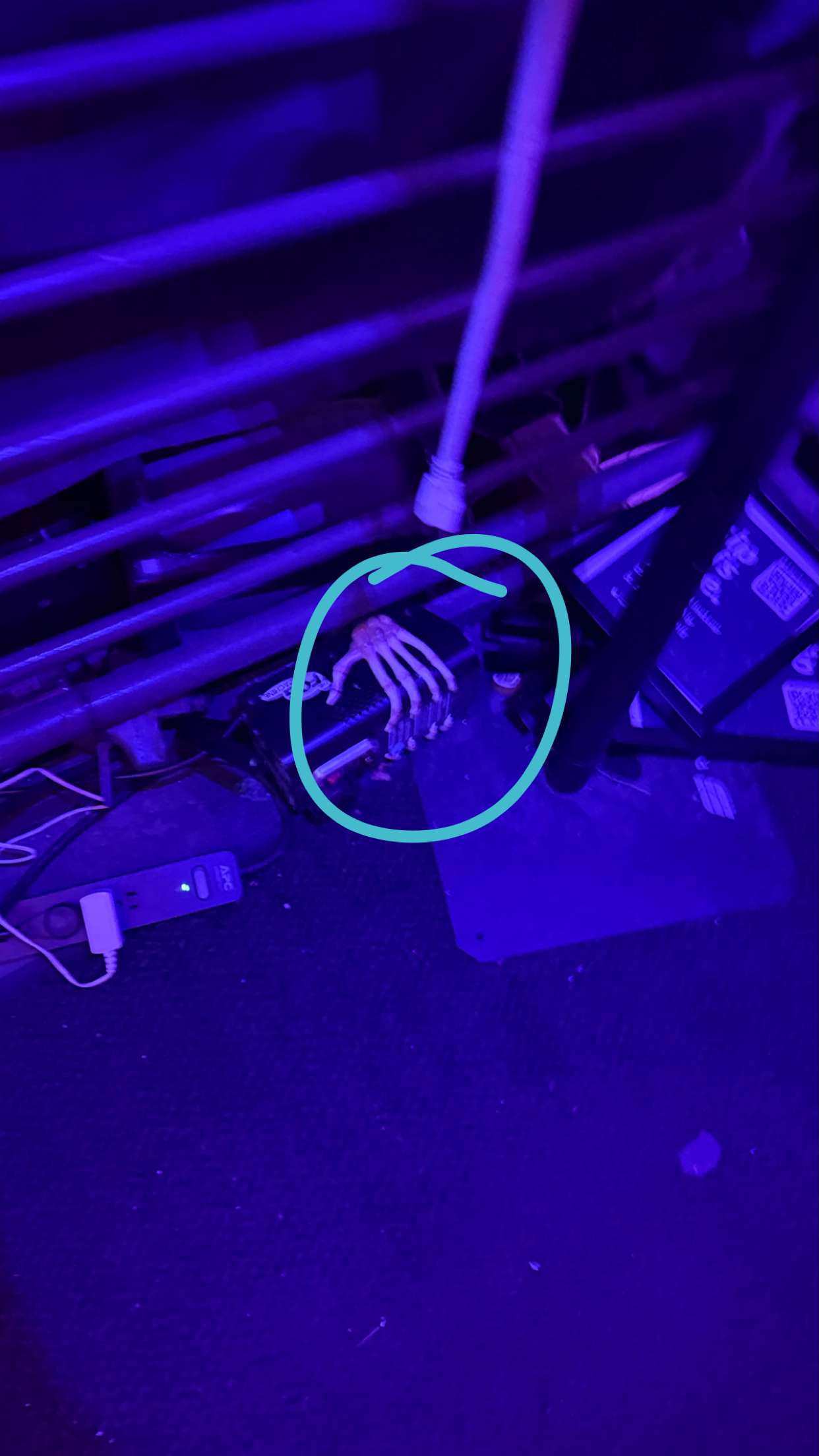 julia.filippo snapchat image archive image