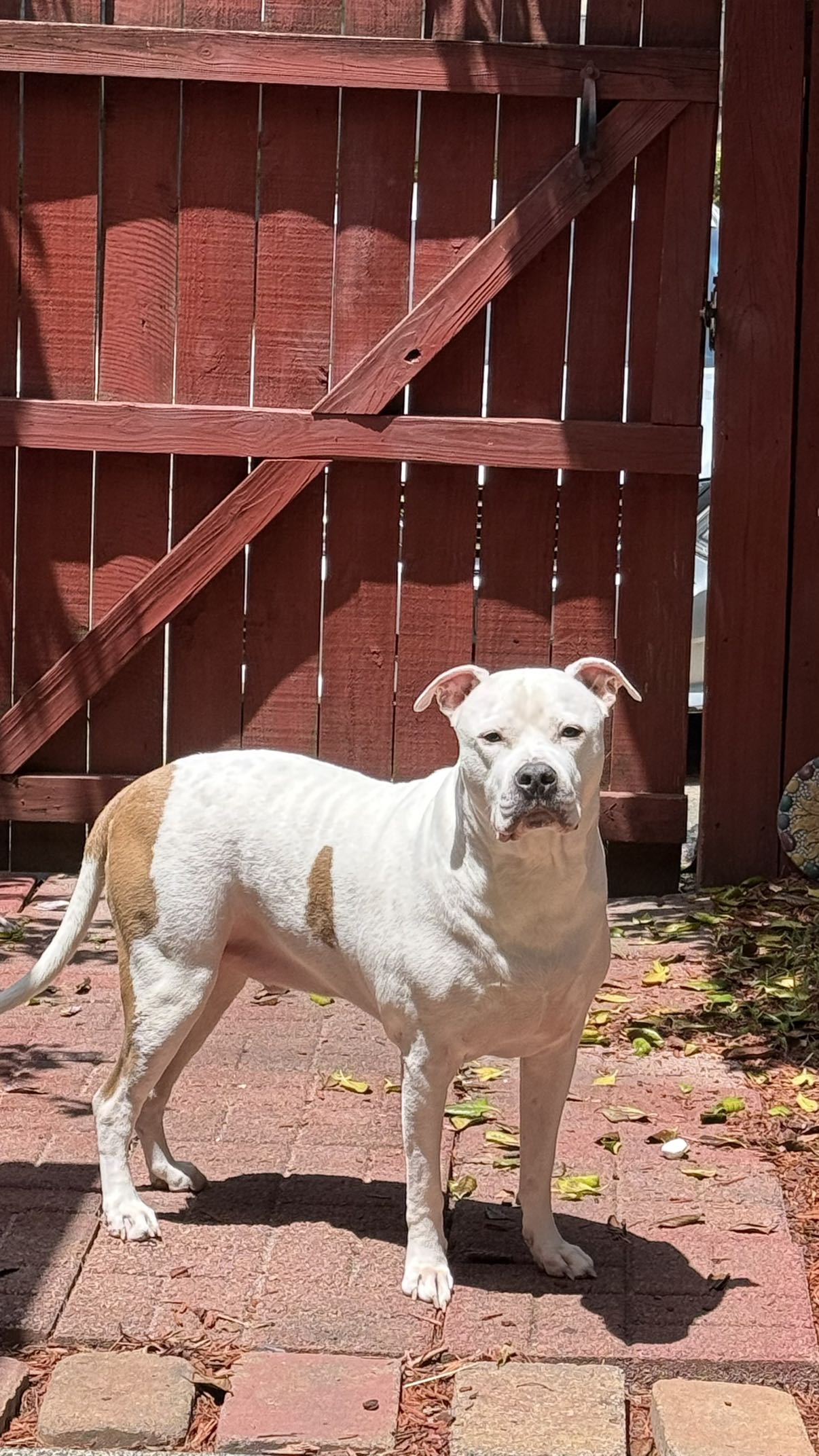 julia.filippo snapchat image archive image