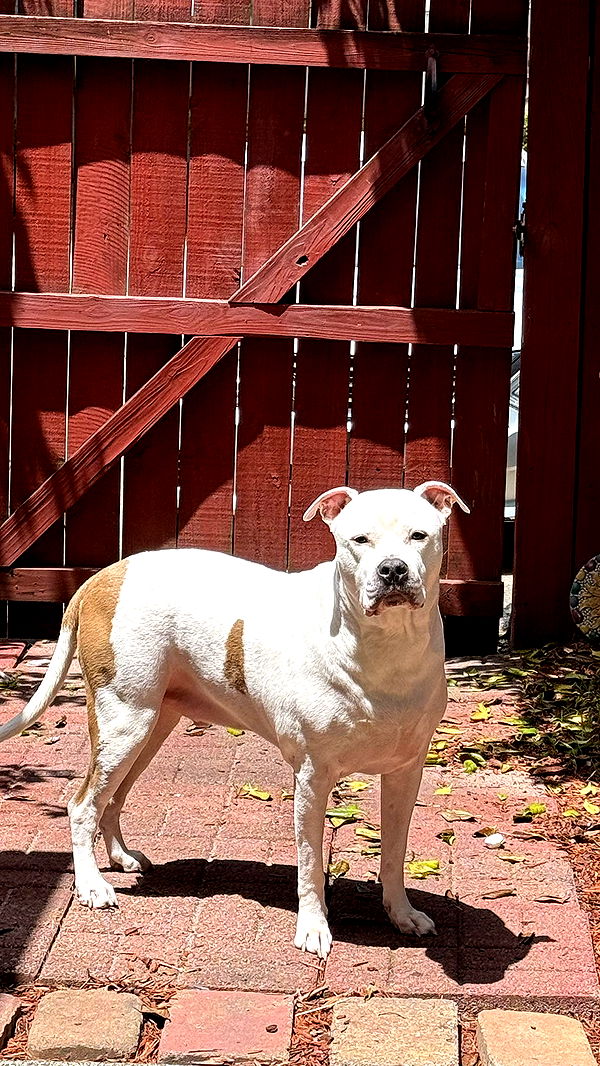 julia.filippo image ~ Altpins