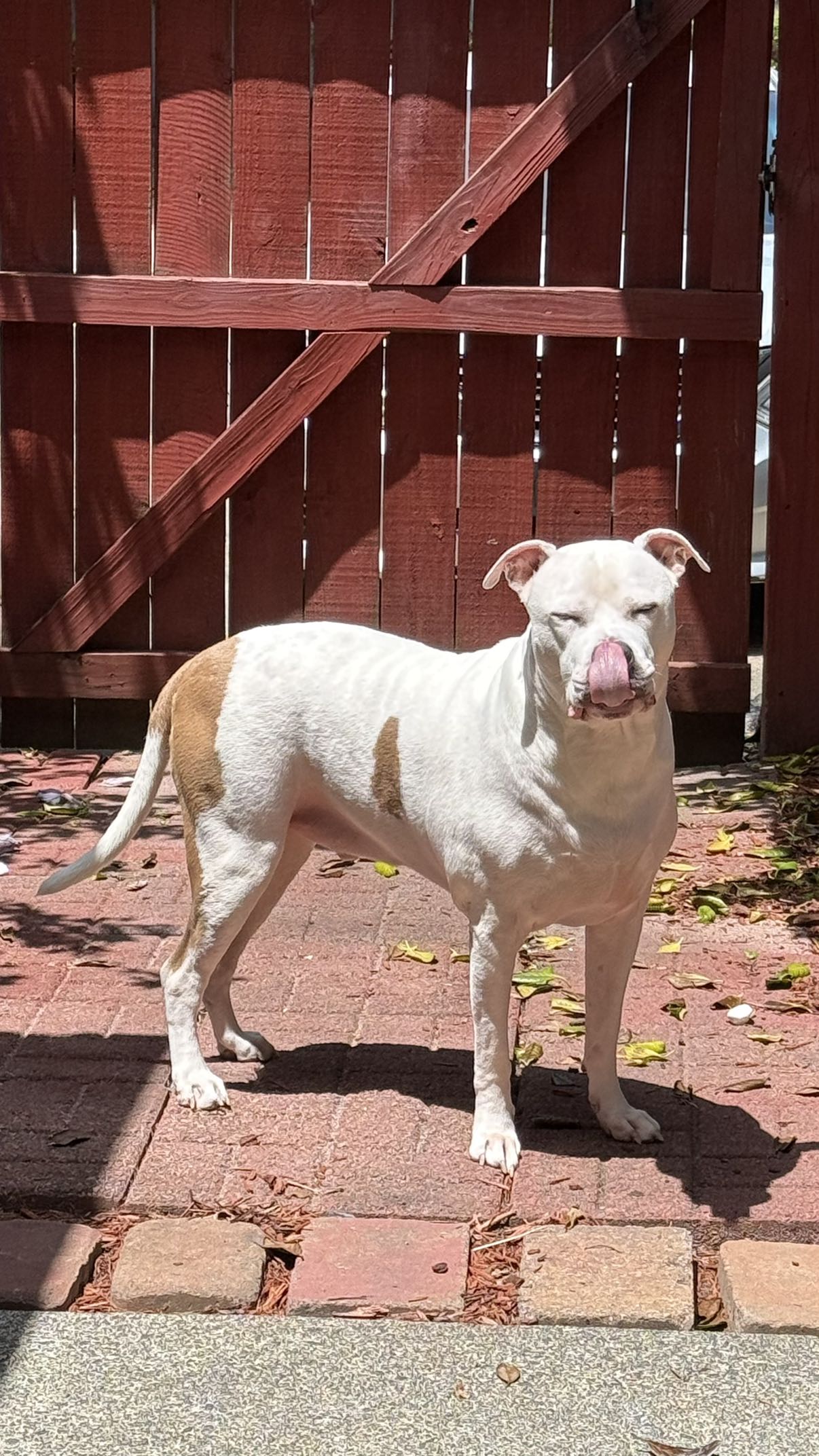 julia.filippo snapchat image archive image