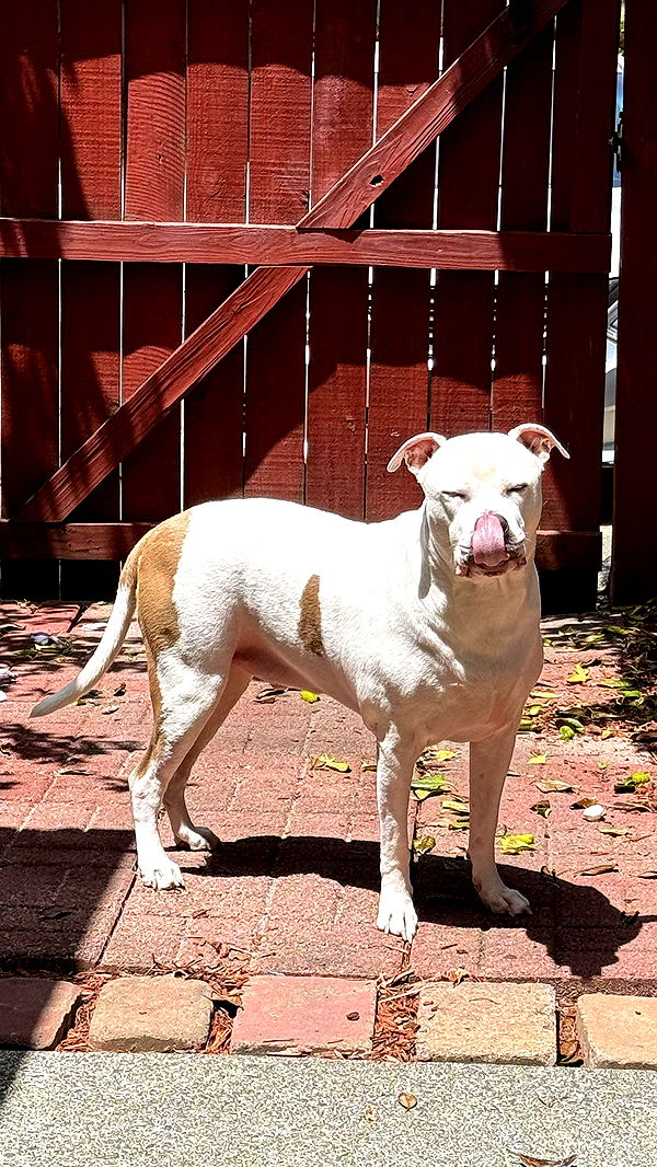 julia.filippo image ~ Altpins