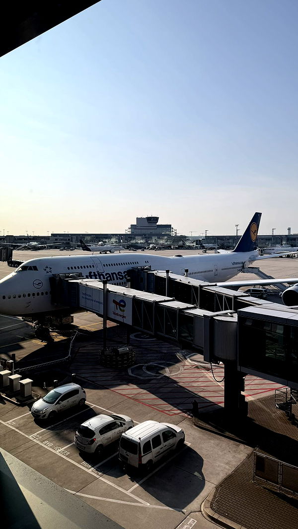 julia.filippo image ~ Altpins