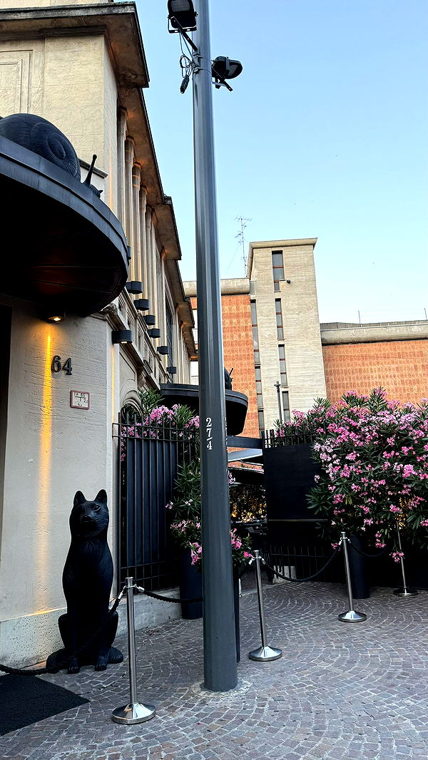 julia.filippo image ~ Altpins