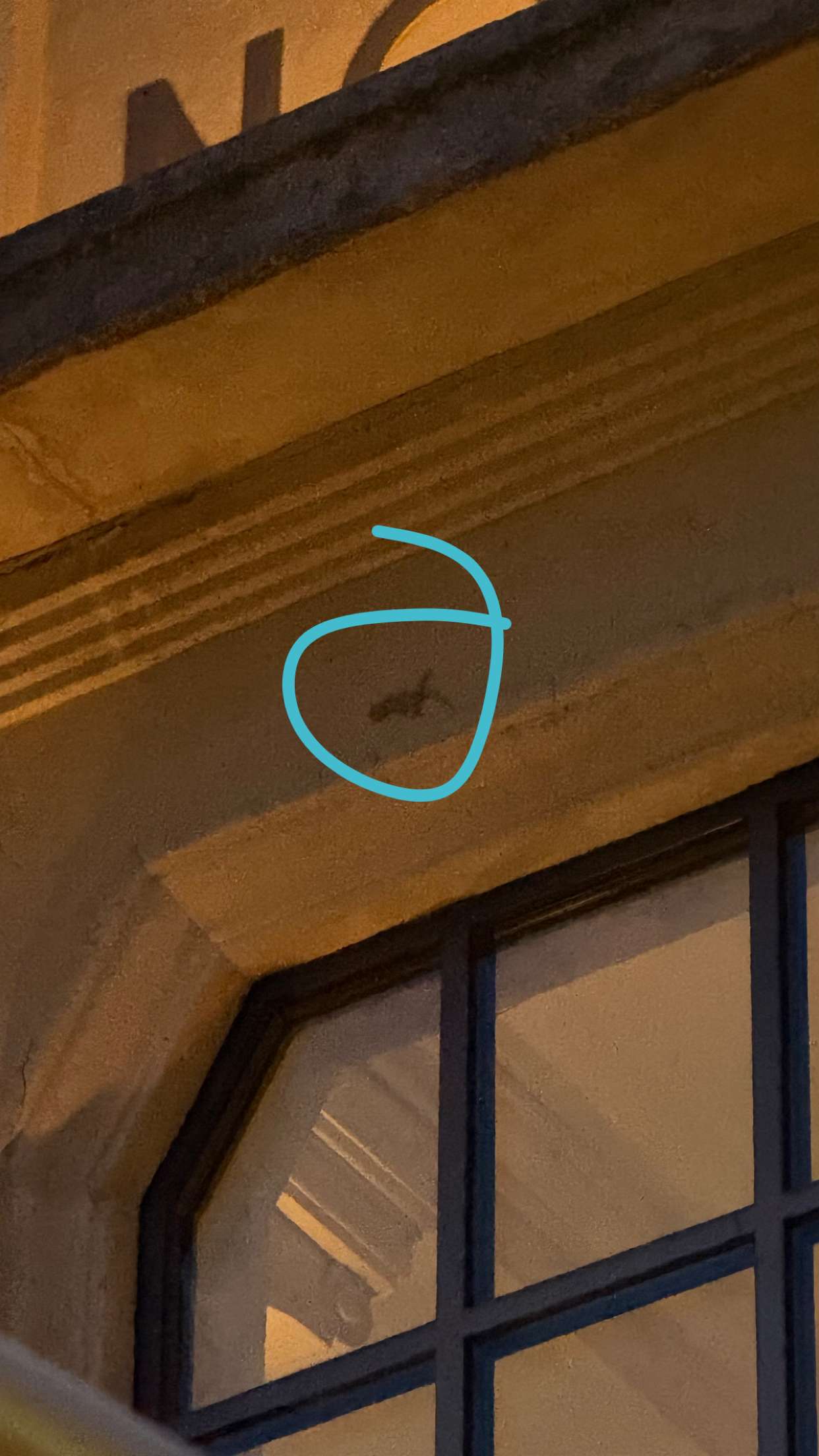 julia.filippo snapchat image archive image