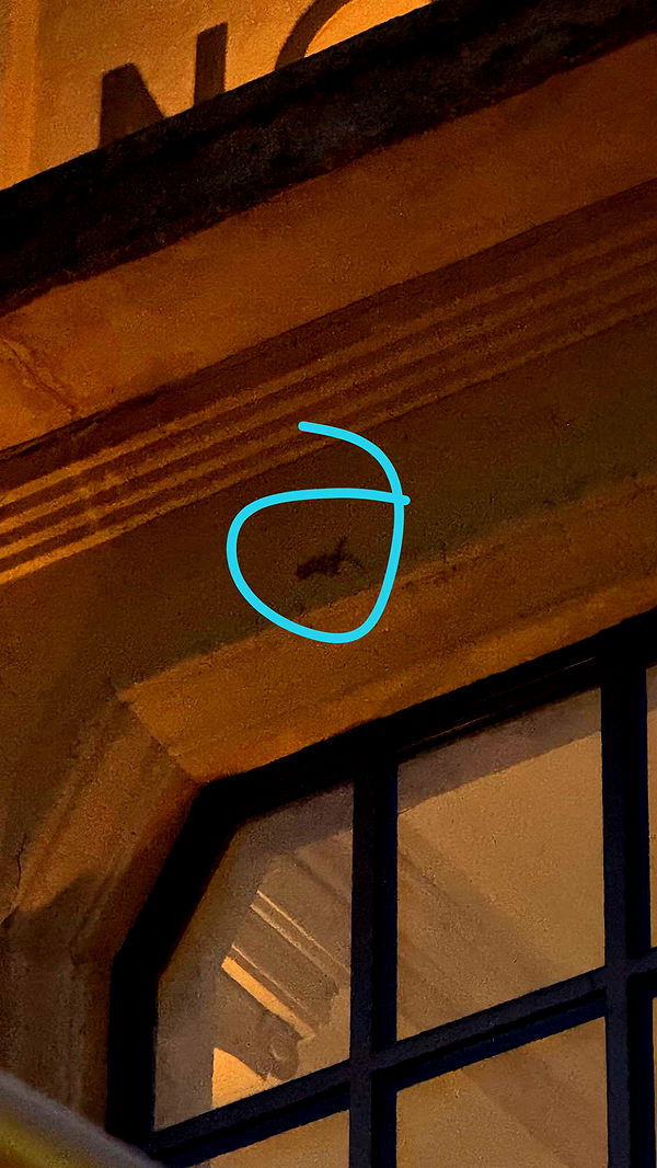 julia.filippo image ~ Altpins