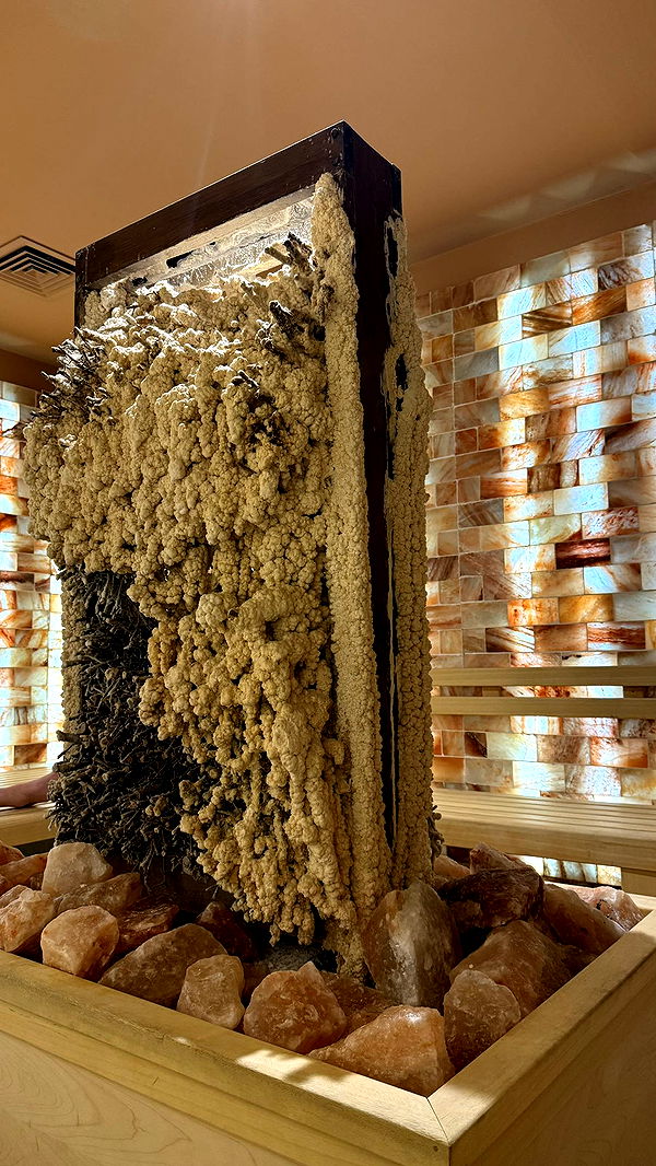 julia.filippo image ~ Altpins