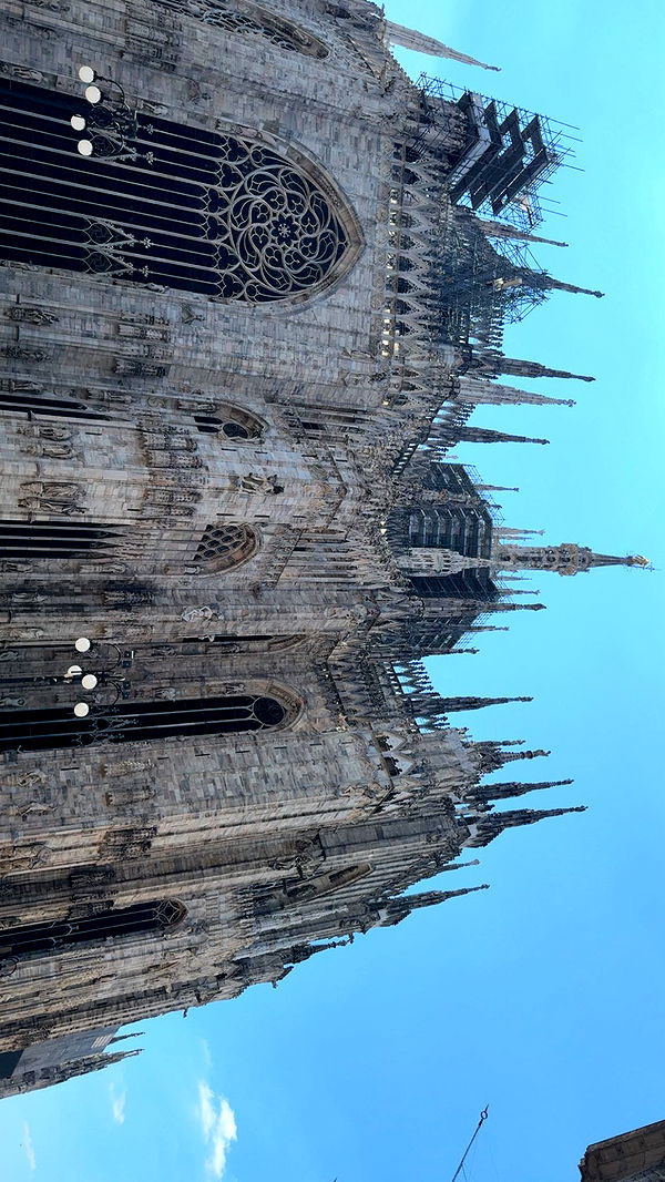 julia.filippo image ~ Altpins