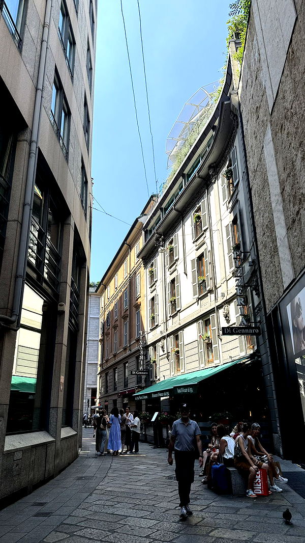 julia.filippo image ~ Altpins