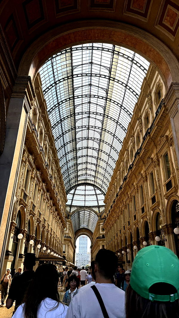 julia.filippo image ~ Altpins