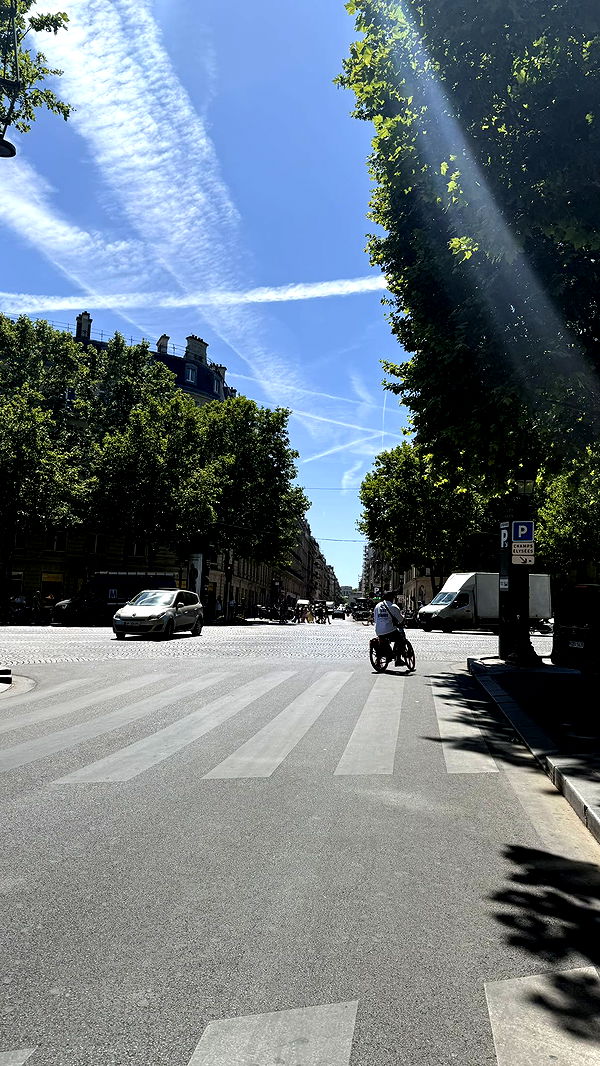 julia.filippo image ~ Altpins