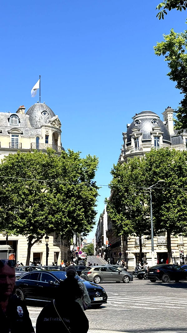 julia.filippo image ~ Altpins