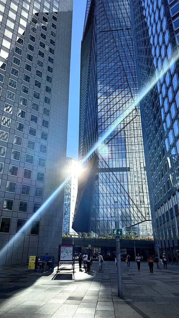 julia.filippo image ~ Altpins