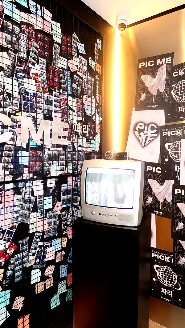 julia.filippo image ~ Altpins