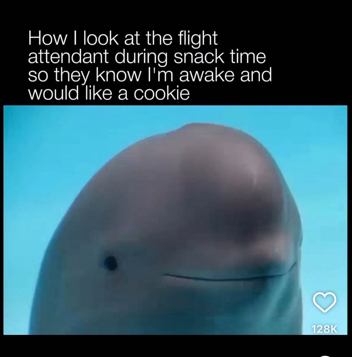 julia.filippo snapchat image archive image