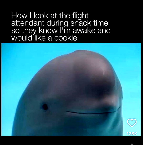 julia.filippo image ~ Altpins