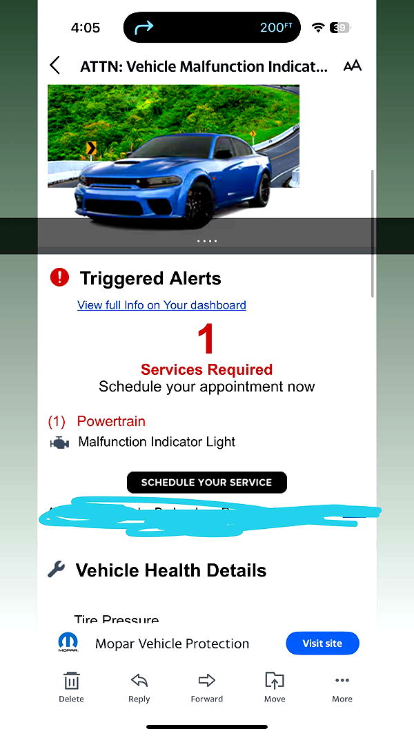 julia.filippo image ~ Altpins