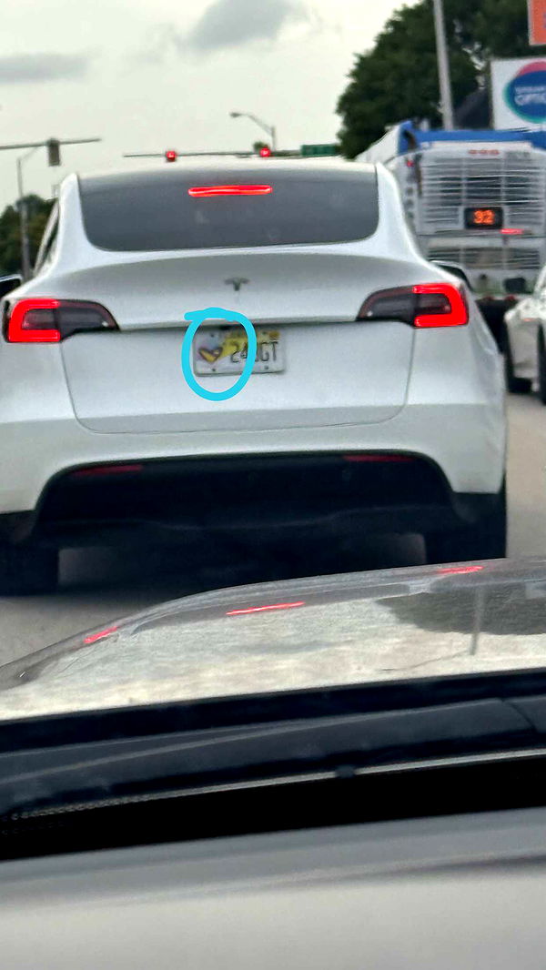 julia.filippo image ~ Altpins