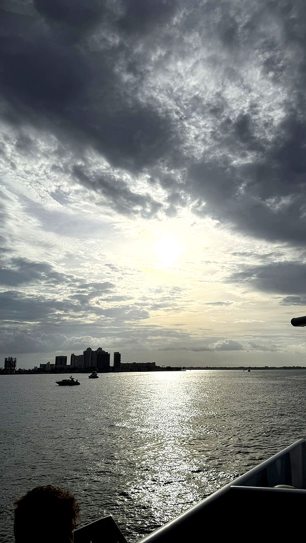 julia.filippo image ~ Altpins