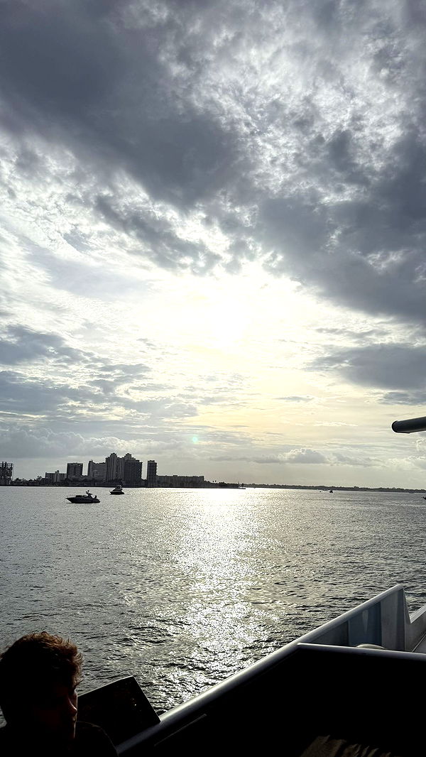 julia.filippo image ~ Altpins