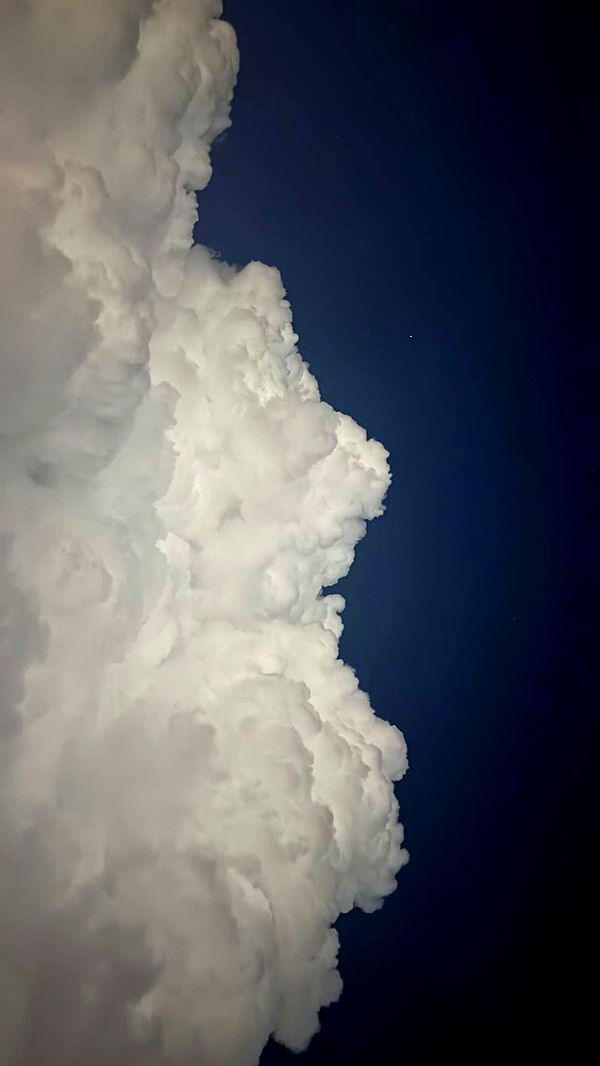 julia.filippo image ~ Altpins