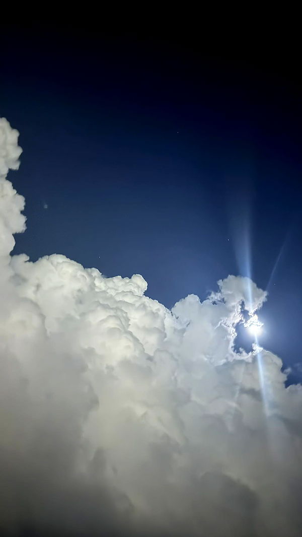 julia.filippo image ~ Altpins