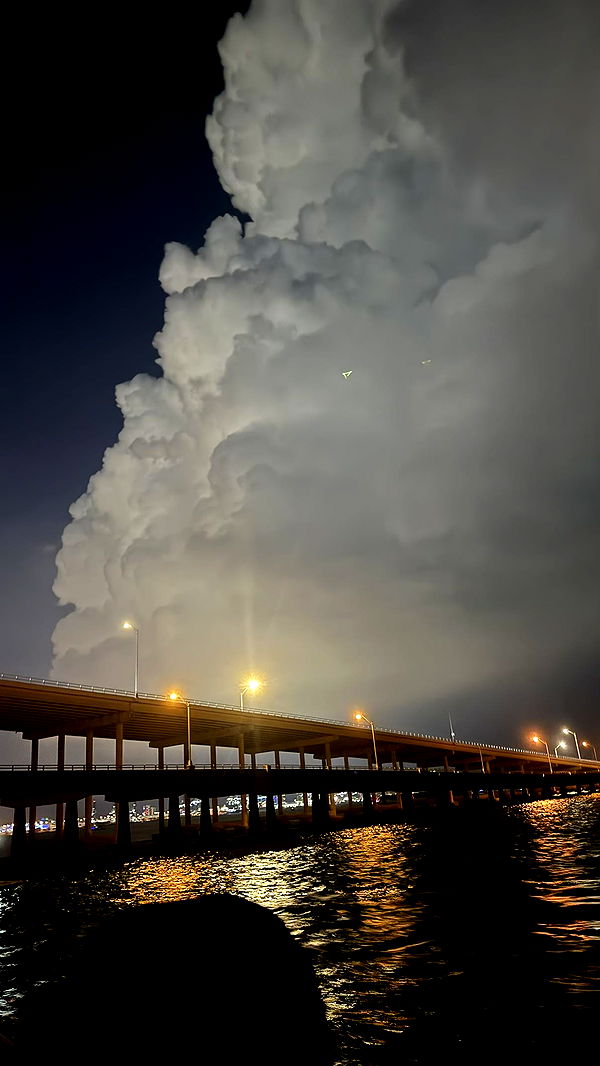 julia.filippo image ~ Altpins