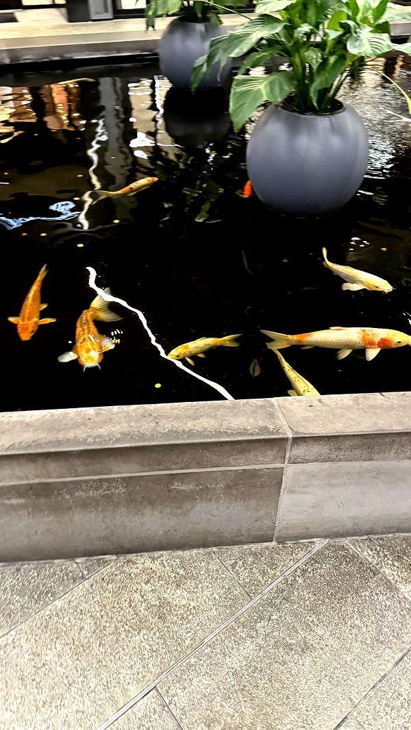 julia.filippo image ~ Altpins