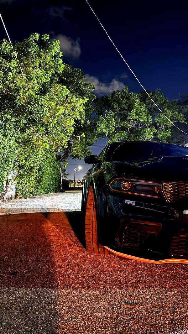 julia.filippo image ~ Altpins