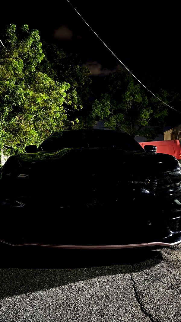 julia.filippo image ~ Altpins