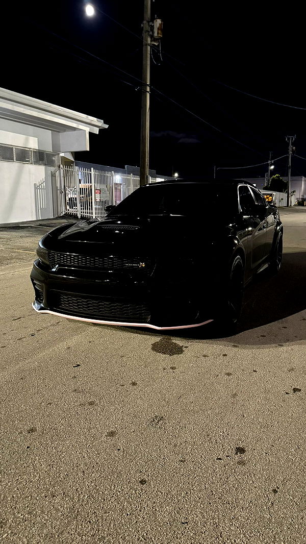 julia.filippo image ~ Altpins