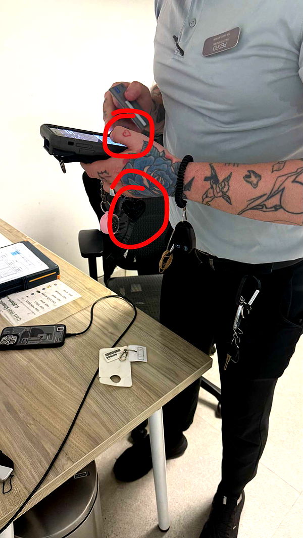 julia.filippo image ~ Altpins