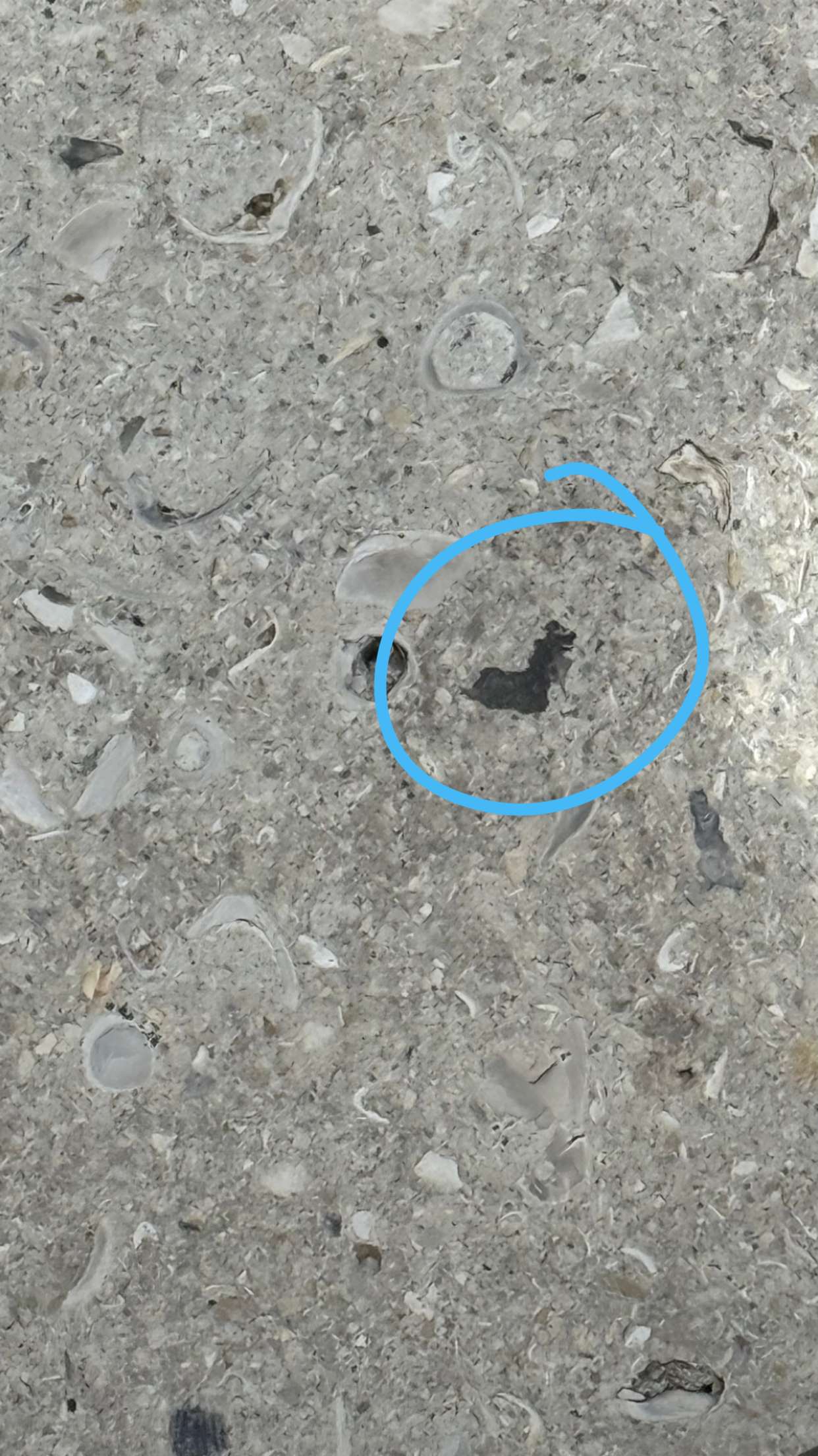 julia.filippo snapchat image archive image