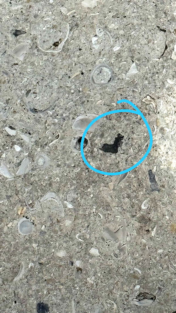 julia.filippo image ~ Altpins