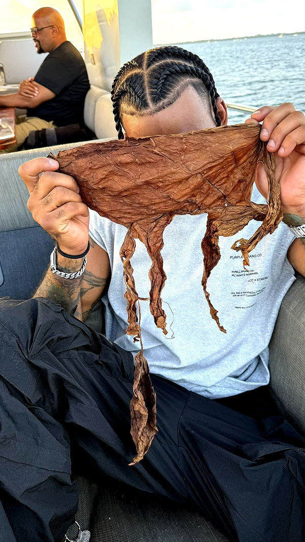 julia.filippo image ~ Altpins